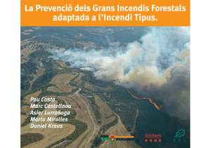 guia la prevencio dels grans incendis forestals cat