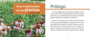Plantas. Usos tradicionales.     A. Vega