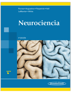 Neurociencia 5a EDICION (1)