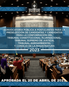 REGLAMENTO DE PRESELECCIÓN DE CANDIDATAS Y CANDIDATOS PARA LA CONFORMACIÓN DEL TRIBUNAL CONSTITUCIONAL PLURINACIONAL, TRIBUNAL SUPREMO DE JUSTICIA, TRIBUNAL AGROAMBIENTAL Y CONSEJO DE LA MAGISTRATURA (2023) 