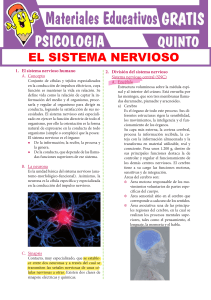 El-Sistema-Nervioso-Humano. Cem avanzado
