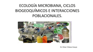 ECOLOGÍA MICROBIANA, CICLOS BIOGEOQUÍMICOS E INTERACCIONES POBLACIONALES.