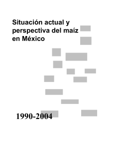 maiz-en-mexico 1994-2004