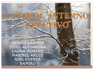 CONTROL-INTERNO-DE-EFECTIVO (2)