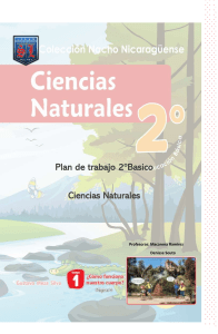 0304-Ciencias-2ab-Ciencias Naturales-Plan De Trabajo