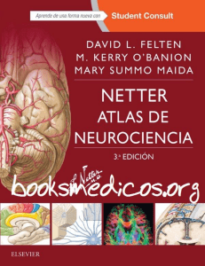 Netter Atlas de Neurociencia 3a Edicion