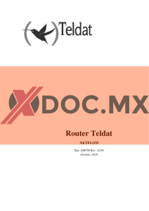 xdoc.mx-router-teldat-netflow