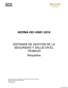Traduccion propia ISO45001 2018