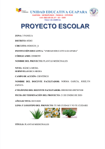 pdf-informe-de-proyecto-escolar-act compress
