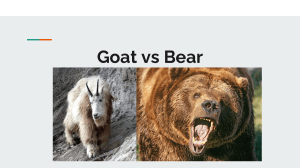 goat-vs-bear