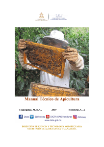 2019,Manual-tecnico-de-apicultura