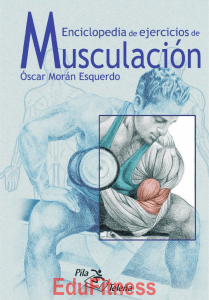Enciclopedia de ejercicios de musculacion
