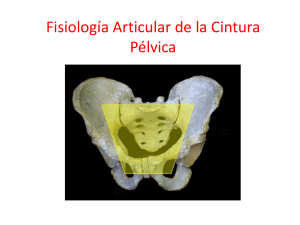 Biomecánica de la Cintura Pélvica.pptx