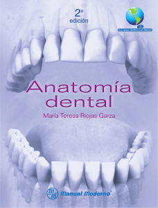 Anatomia Dental - Maria Teresa Riojas Garza