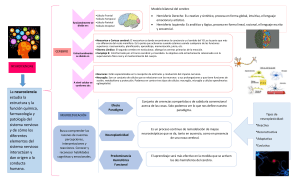 Cuadro-Sinoptico-Neuroaprendizaje