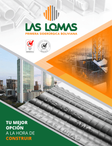 Catálogo de Ficha técnica Las Lomas (1)