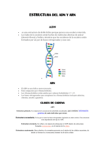 ESTRUCTURA DEL ADN Y ARN