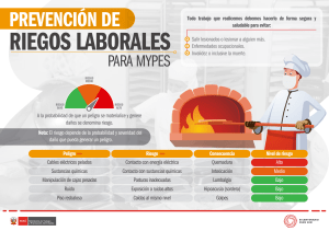 Infografía N° 01 - Conceptos básicos de prevención de riesgos laborales I