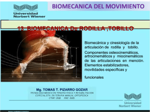 biomecanica-rodilla