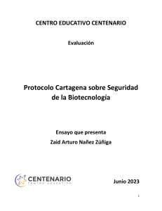 Ensayo Protocolo de Cartagena