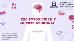 Excitotoxicidad y muerte neuronal 