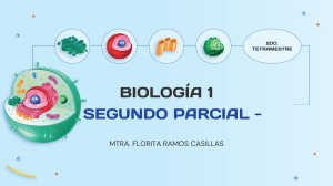 CLASES BIOLOGIA 1-2DO PARCIAL