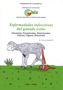 Ameghino-Enfermedades infecciosas del ganado ovino  Neumonía