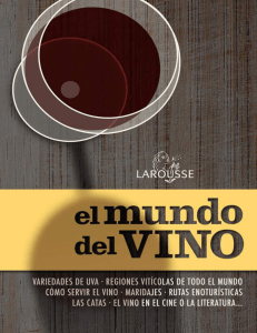 El Mundo del Vino-Larousse (1)
