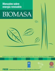 Biomasa Manual sobre Energia Renovable