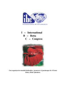 IBC-Spanish-Flyer