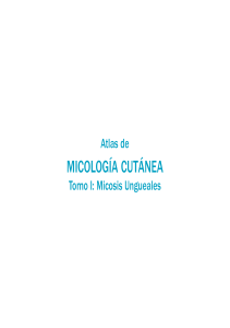 Atlas Micosis Ungueal.pdf · versión 1
