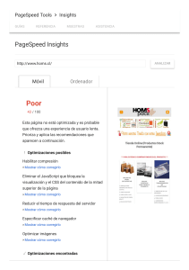 PageSpeed Insights2