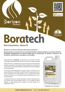 Boratech