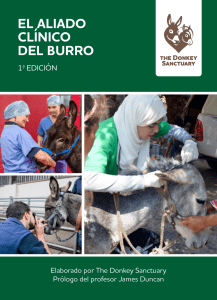 El aliado clínico del burro