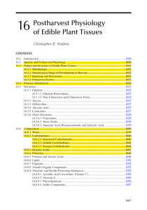 Postharvest Physiology of Edible Plant Tissues