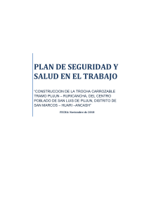 PLAN DE SEGURIDA TROCHA CARROZABLE