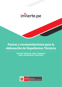 4 Pautas y recomendaciones para la elaboracion de expedientes tecnicos