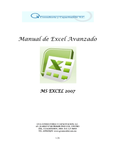 Manual Excel Avanzado