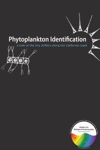 Phytoplankton Identification: California Coast Guide