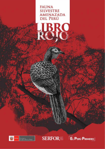 libro rojo