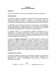 Práctica 1 y 2 Hidratos de Carbono