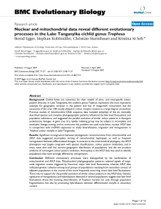 Nuclear and mitochondrial data reveal di