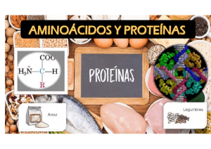 Teoría-aminoacidos y proteinas 2021-II