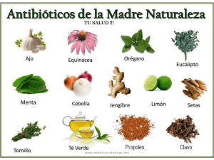 - Antibioticos De La Madre Naturaleza 231220 065135