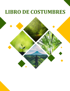 Libro de costumbres