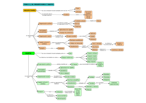 MAPA CONCEPTUAL Mesopotamia y Egipto