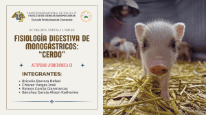 FISIOLOGÍA DIGESTIVA DE CERDO