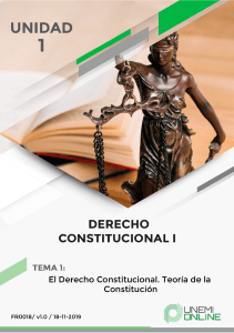 derecho constitucional I