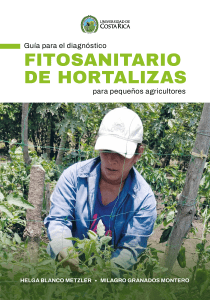 Guía diagnostico fitosanitario de hortalizas para pequeños agricultores