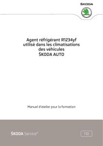 SSP 110 Agent réfrigérant R1234yf utilisé dans les climatisations